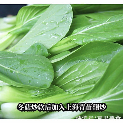 冬菇|春节大鱼大肉吃多了，来道清爽解腻的冬菇炒青菜吧