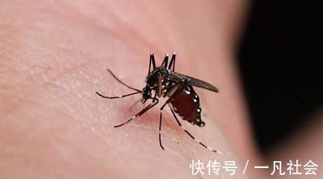 宝宝|2岁宝宝脸上长出“羽毛”,宝妈觉得很可爱,检查后医生:太无知