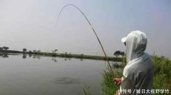 饵料|黑鱼怎么钓?用什么饵料钓最好?