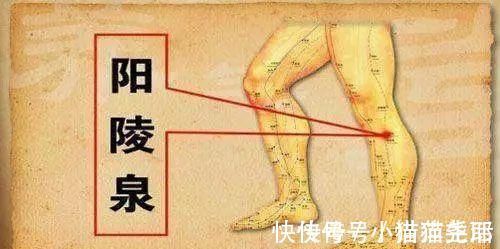 不良习惯|这里疼，那里疼，全身都疼？这套“止痛操”学起来！