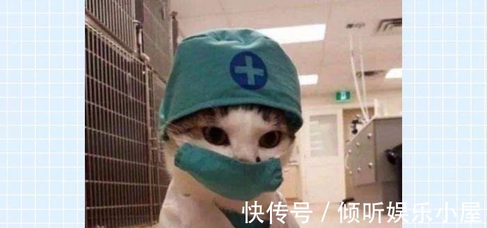 病理|三次“警钟”敲响！她却“视而不见”，最终导致宫颈癌