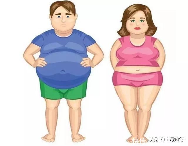 背部|为什么小腹部脂肪总是很难减？正视小腹脂肪，做针对性训练会更好