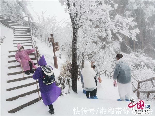 安徽|安徽黄山又又又降雪啦!惊羡游客催热赏雪游