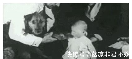 华生|用9个月婴儿实验,他的教育方法坑害千万孩童,如今竟在中国流行