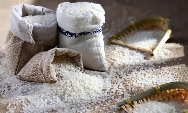 为啥大米总是凭空生虫子?这些虫子从哪里来?会传染疾病吗?