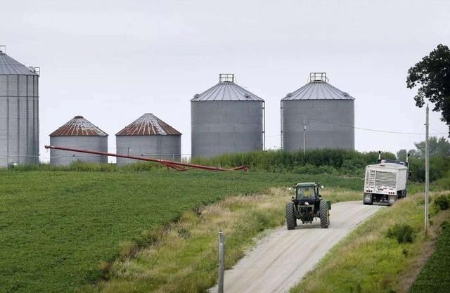 小火花|20世纪工业灾难：粮食“自焚”烧掉美国900万吨储备粮