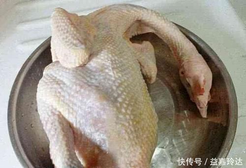 好吃|好吃的鼓油鸡家常菜，每周都想吃一只，做法太简单了