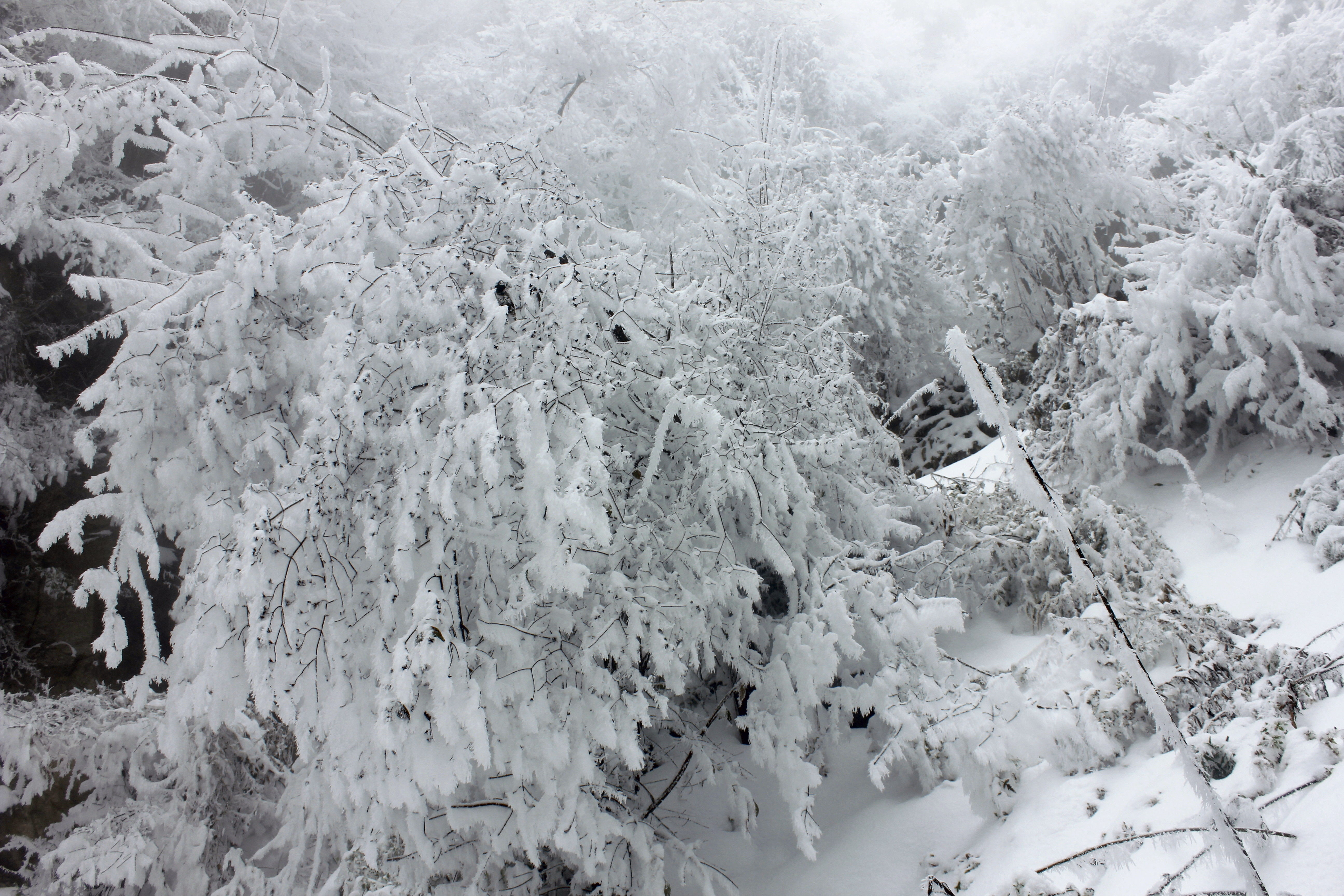 征集|【年末福利征集】雪后南五台幸遇云海