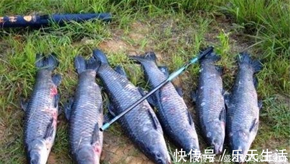 调漂|盛夏高温,钓鱼要钓深和钓远,用这种钓组远投,专钓远处的大鱼!