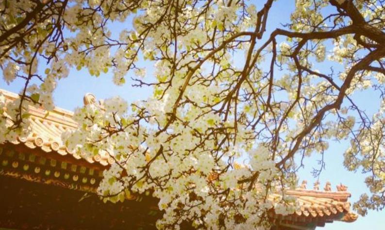 如梦如幻|李煜如梦如幻之作,开篇惊艳,无一生僻字却写出后世无法模仿的美