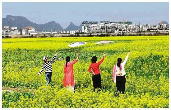 中年|秀峰：这边风景很好