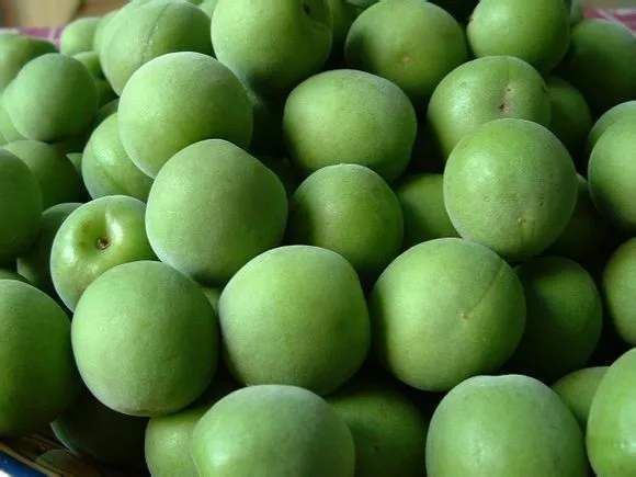 圣女果|聪明女性都在吃3种食物,美容养颜、延缓衰老,好吃又不贵!