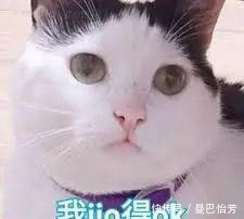 小白必看の护肤步骤