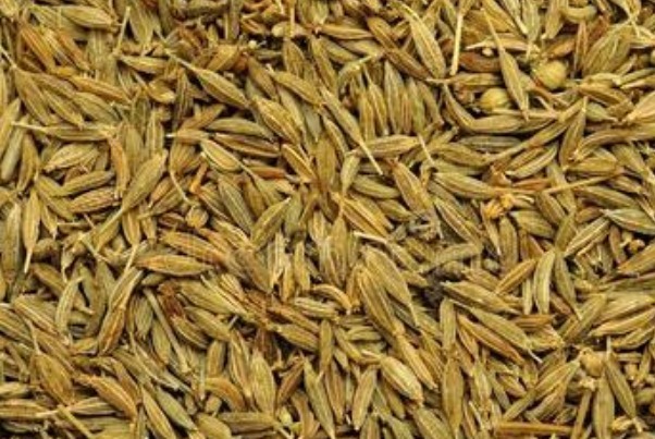 调理|老是失眠怎么办此物放在枕边不仅有助睡眠，还能调理身体