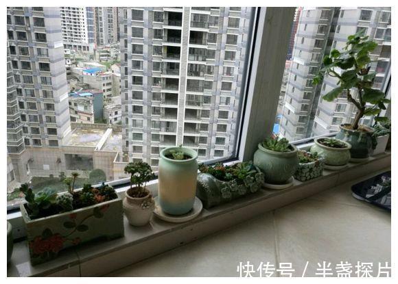 造型设计|128平新房装修结束,最喜欢两个阳台装修设计,分享给大家