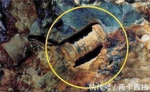 奇石|渔民捡到奇石,镶嵌2.5亿年前“芯片”,史前真的存在高等文明?