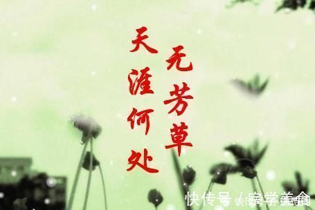 苏轼|苏轼很有特色的一首词,名句纷呈,“天涯何处无芳草”也出自此词