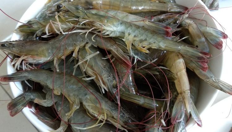 大虾不要再白灼了，教你一个做法，鲜咸入味又酥脆，好吃又下饭