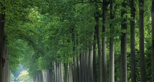 《道德经》的智慧想要觉醒,就要抛弃杂念,达到虚无境界