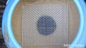 养花|养花小技巧在盆底放点这东西，花卉再也不烂根不长虫