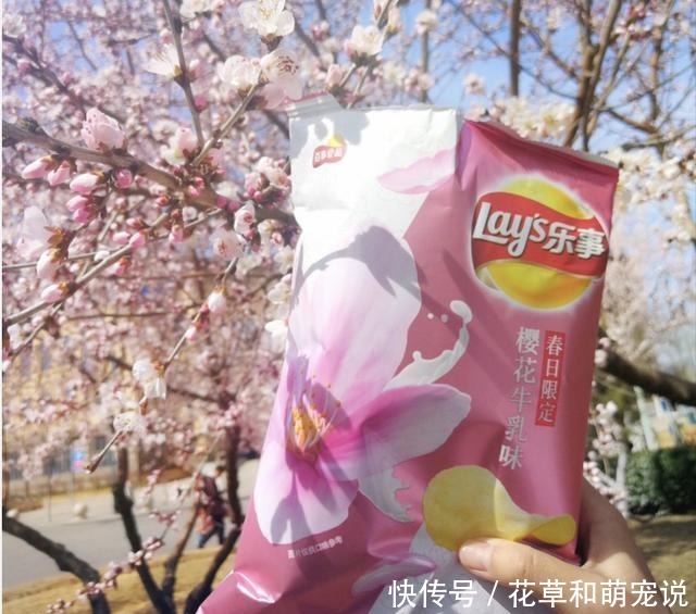 6种最“有颜无实”的食物,最后一种,确实只适合拍照