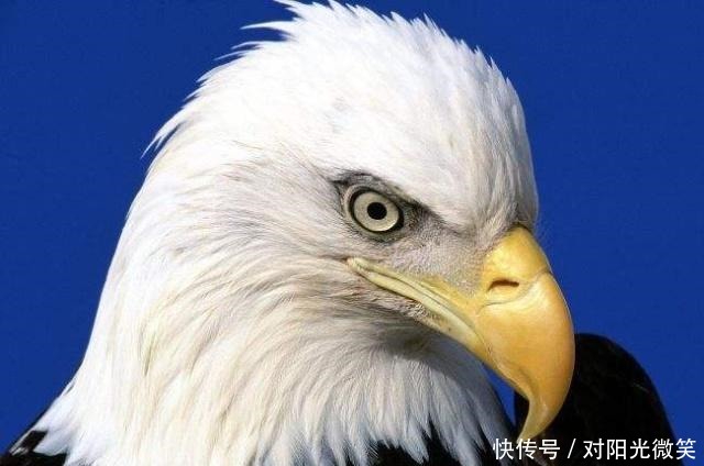 司马光|真正内心强大的人,大多拥有这三种顶尖思维!