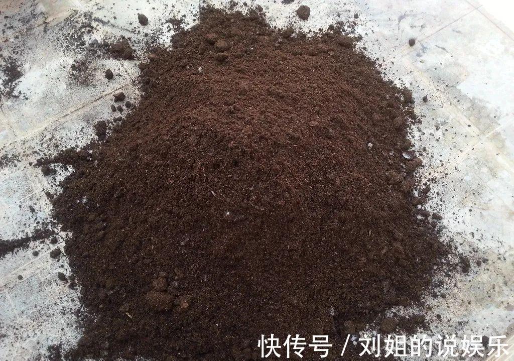 养分|养花的“旧土”别浪费，3步巧加工，又“肥的流油”，养花一级棒