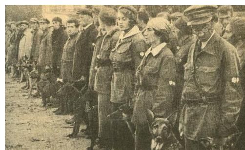 苏军|脑洞不止大还奇葩？二战时期的苏联反坦克犬和德国反坦克驴传奇