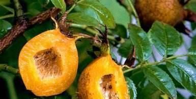 绿豆芽|聪明女性坚持吃3种食物，排毒减肥，滋养肌肤，好处多多！