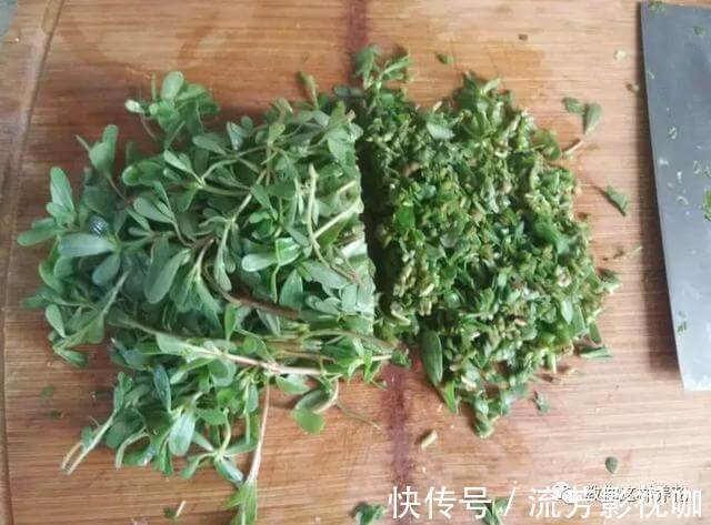 可口|1种野菜含钾高,阳台就能种,年年可摘,好吃可口!