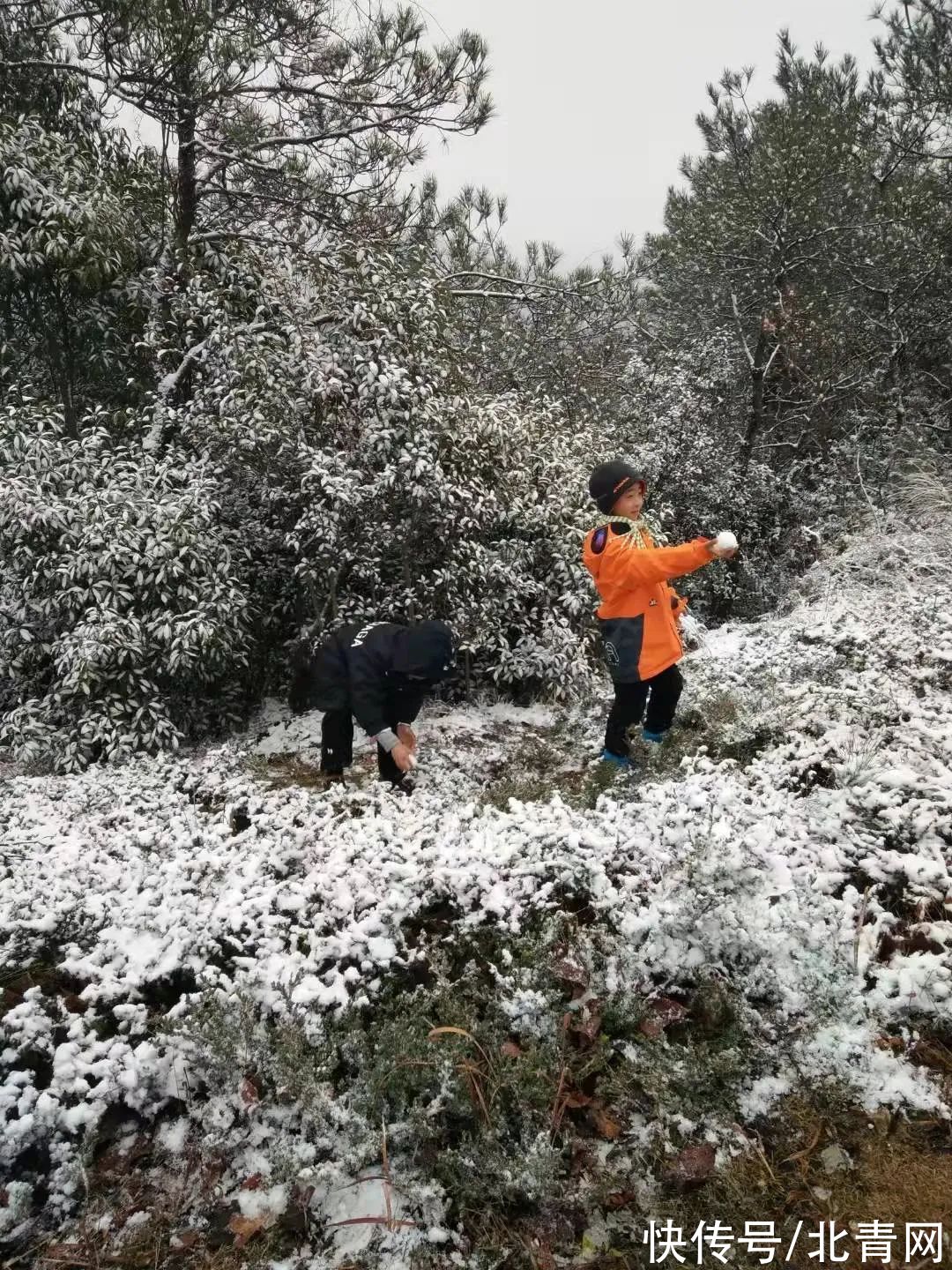 云海|太美了！台州最新雪景！括苍山跌至-10℃，再现云海奇观