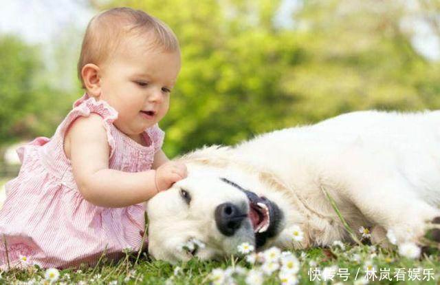 父母|不要夸孩子“你真棒”, 夸孩子就该用这3句话,越夸孩子越聪明