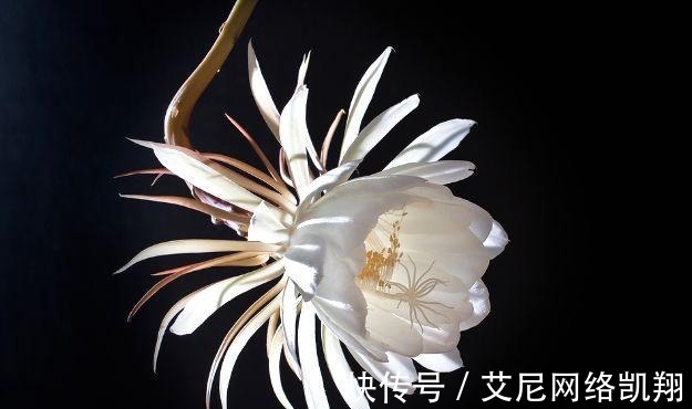 堪称经典|千古绝对! 上联 “一月只圆两三夜”, 网友的下联堪称经典