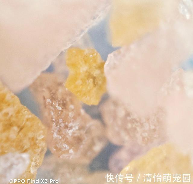 oppo|微观世界有多神奇？在肉眼不可见的景色里，竟然藏着另一个春天