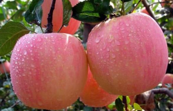 餐桌的3种美味,是女人衰老“开关”,常吃排毒补气色,缓解早衰