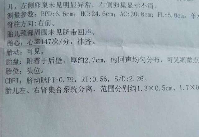 小女宝|腹中是男宝还是女宝或许B超单上的3个“数据”,隐藏了“答案”