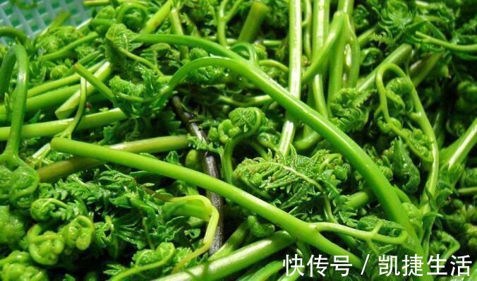蕨菜|被电视台明确宣布的“高致癌”四种食物，尤其最后2种