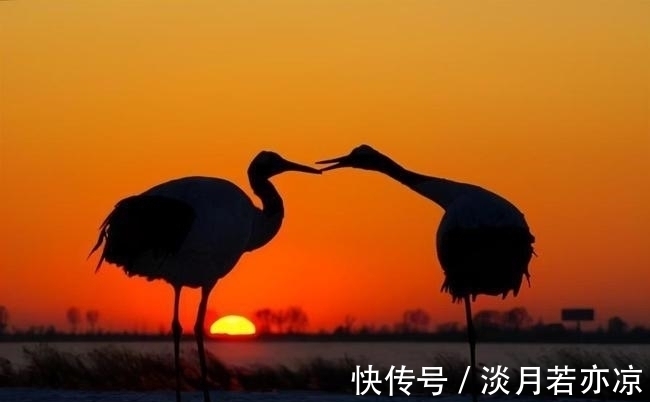 桂華$夕陽無限好,三首經典律詩,寫黃昏美景字字唯美,內含境界與風骨