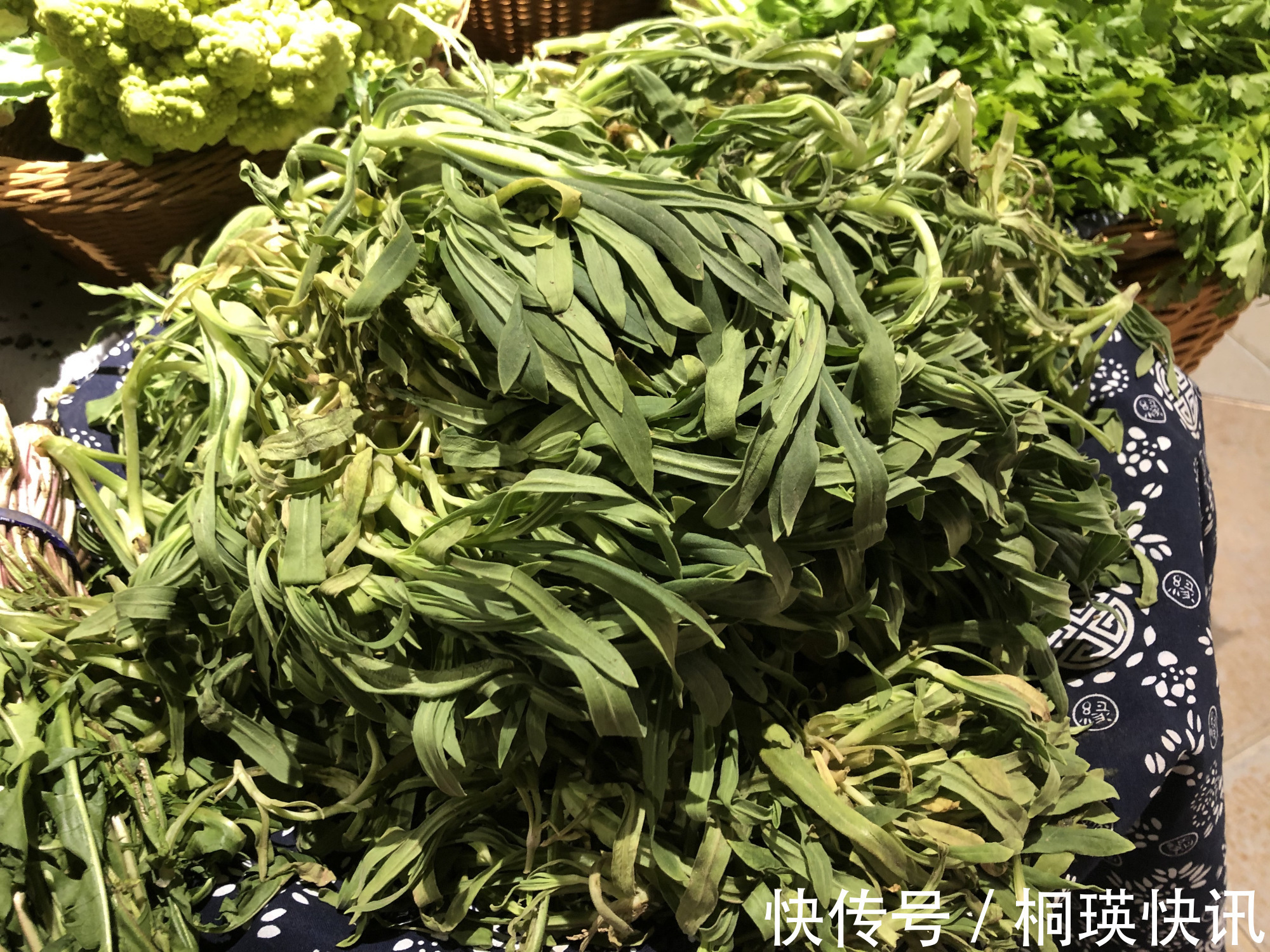 蒲公英|春天一道，这8样受欢迎的“养生菜”别错过，贵点也要尝尝鲜！