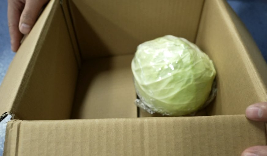 网购|长兴市民“白菜价”2400元网购了一颗白菜 这事真坑！