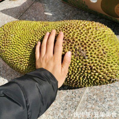  家庭烤箱版菠萝蜜干最经典的做法，简单易学好上手