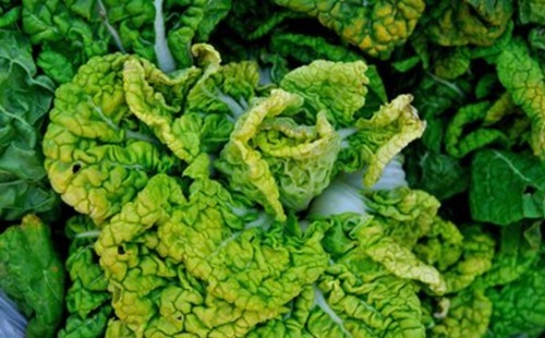 钙质|常给孩子吃此物,再贵也别省,补充钙质,长高个,肌肤更细滑水嫩