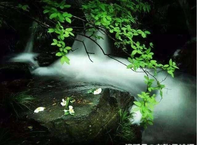 学生|苏轼学生引用王维诗句,但表达的意思相差很远,境界更是云泥之别