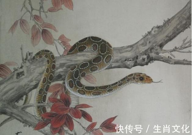 宏图|未来3个月宏图大展，贵人提携，少走弯路，赚钱了得能翻身的生肖