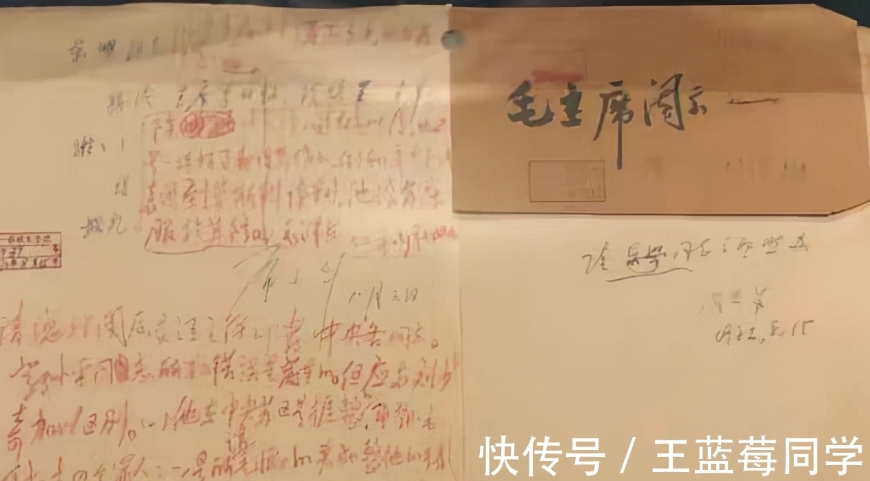 字迹&罕见！邓小平致毛主席信，硬笔字迹与众不同，果敢沉着，斩钉截铁