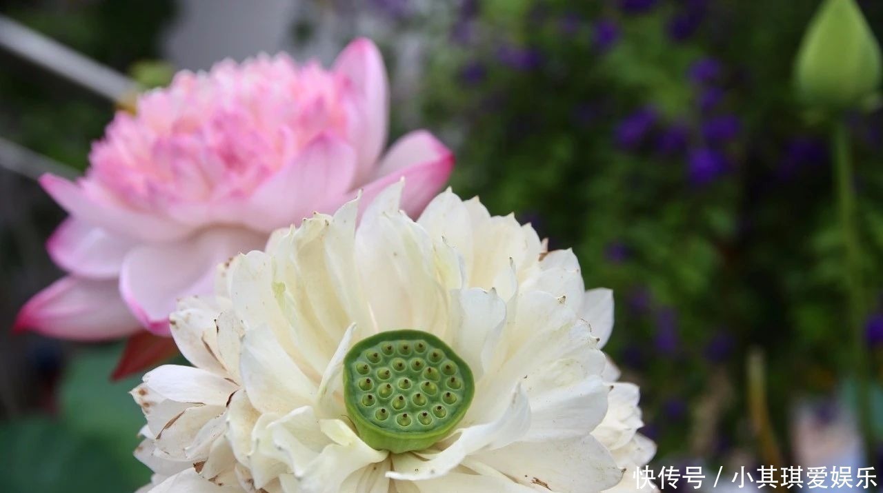 中国历史@记住老祖宗这三句话,家庭兴旺之本,句句值千金