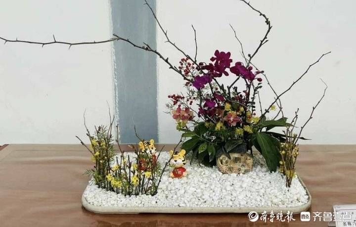 大明湖|济南大明湖迎春花展暨第九届水仙花展即将开幕