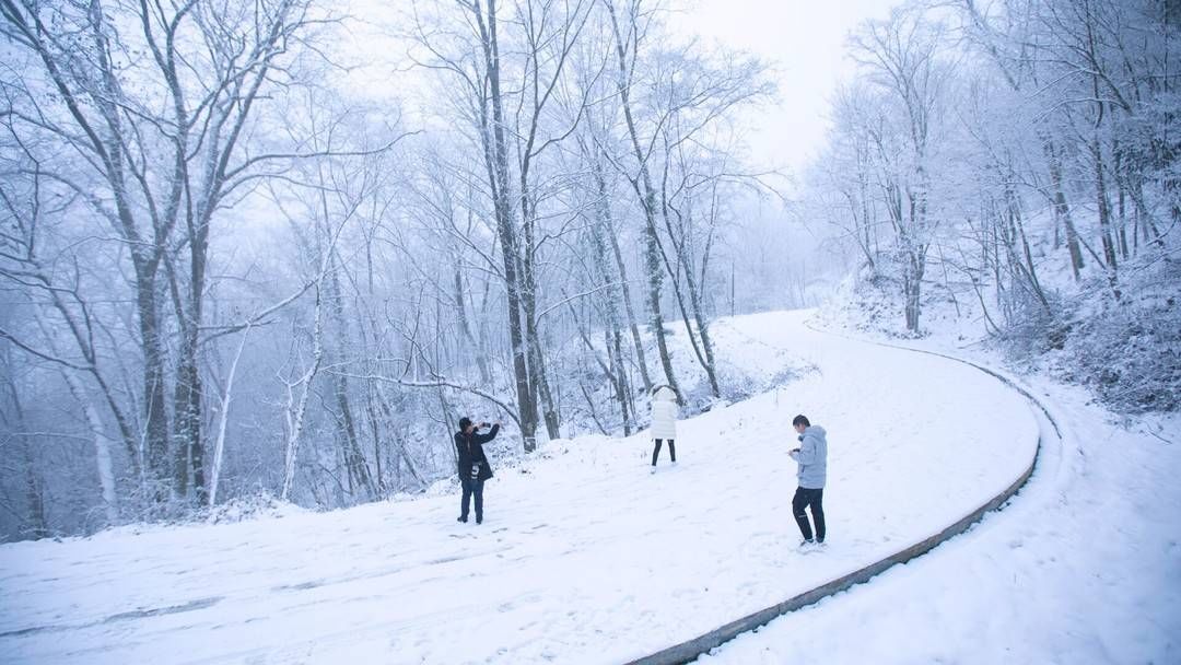 风景|俯仰皆风景 四川广元旺苍唯美雪景惹人爱