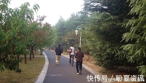 后辈|坚持每天晨跑,跑了31年,现已85岁,大爷的经历值得后辈学习