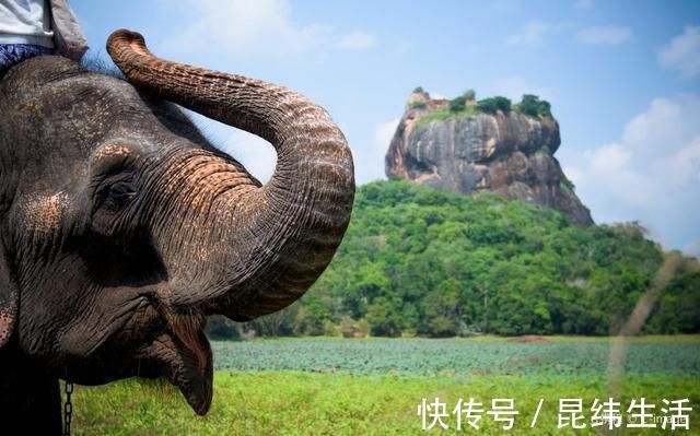 巨岩|斯里兰卡国宝级景观，一座“漂浮”在空中的宫殿，震撼人心